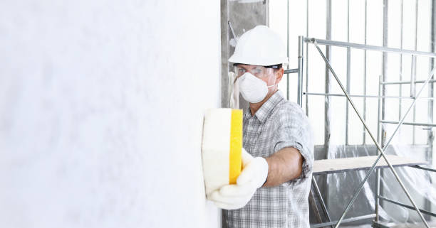  Mango, FL Mold Removal & Remediation Pros