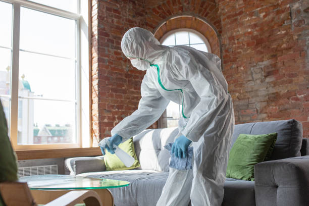 Best Biohazard Mold Removal  in Mango, FL